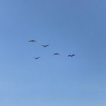 self-leadership