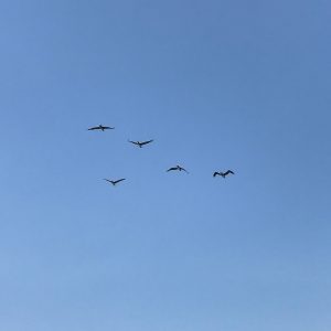self-leadership