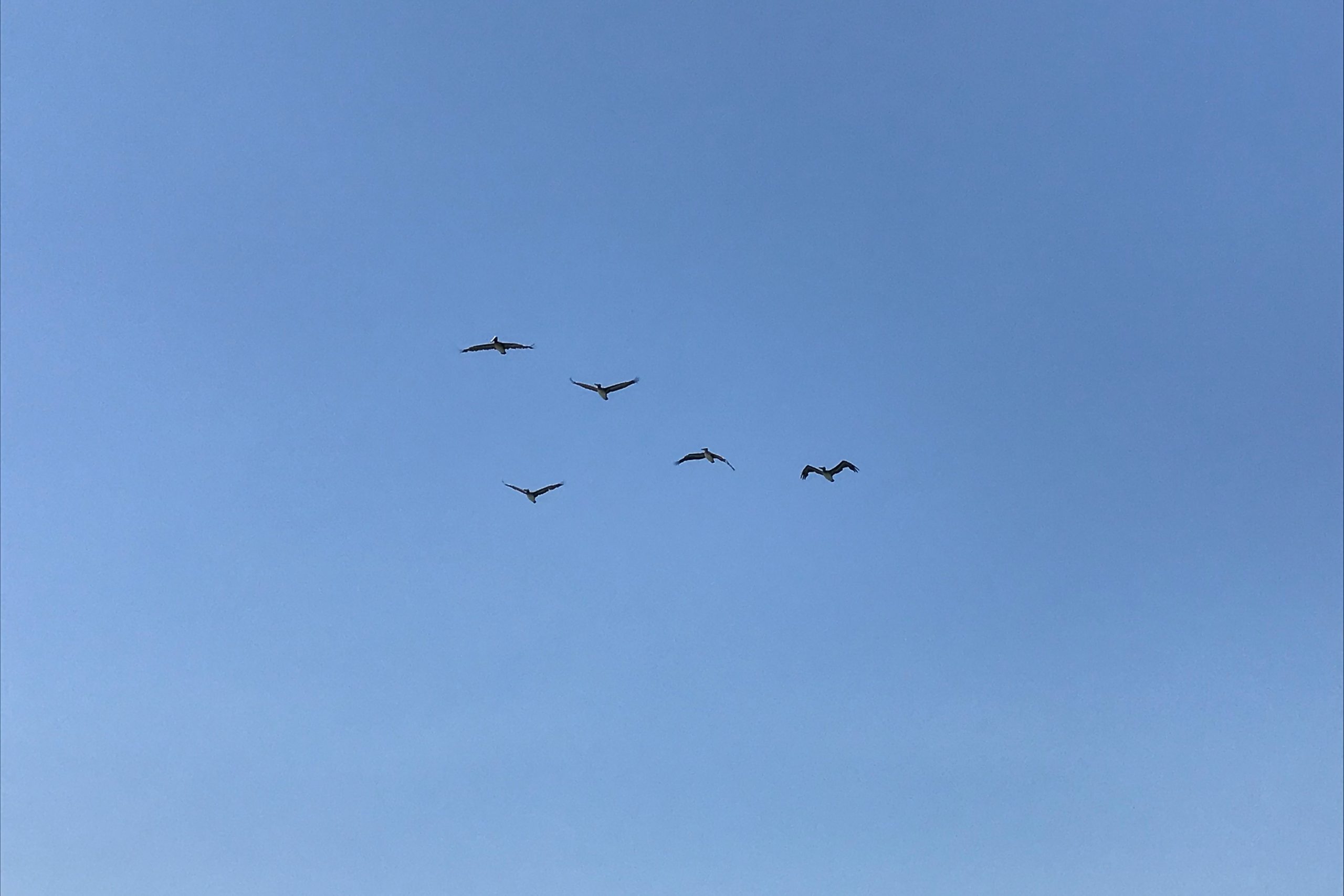 self-leadership